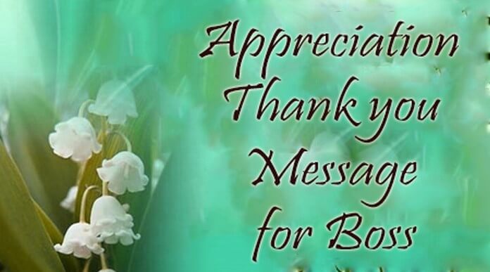 Appreciation Thank you Message for Boss