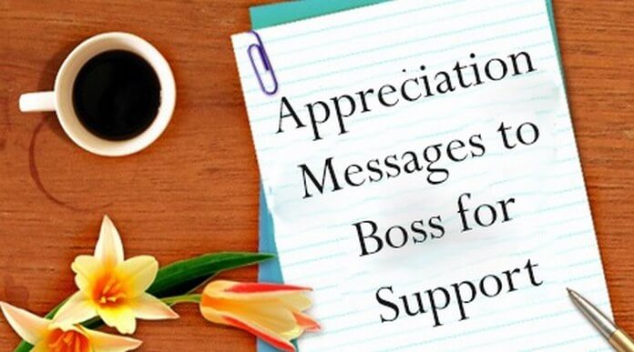 Appreciation message to boss for support