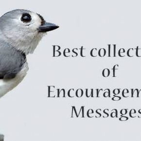 Encouragement Messages