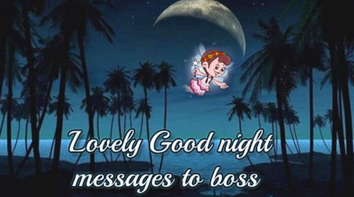 Lovely Good Night Messages to Boss