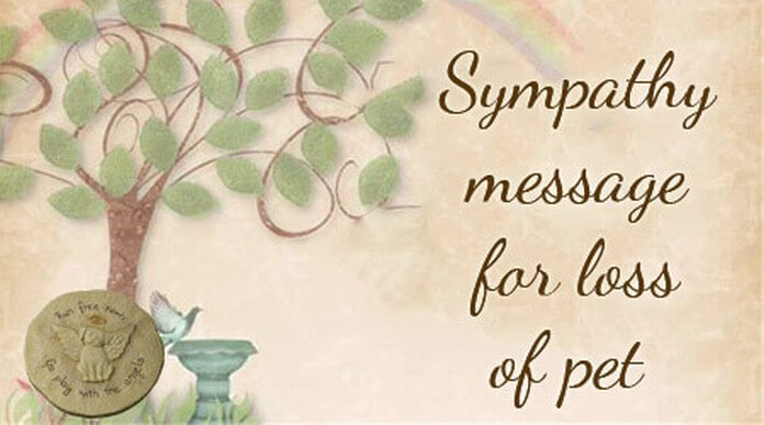 Sympathy message for loss of pet