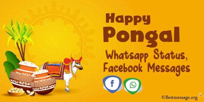 Happy Pongal Whatsapp Status - Pongal Facebook Messages
