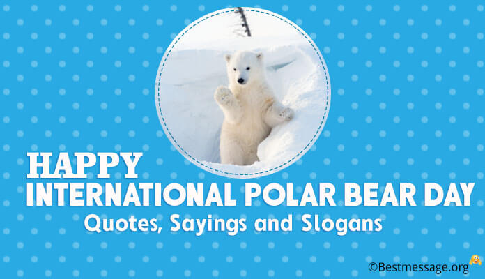 International Polar bear day messages, quotes, sayings and slogans