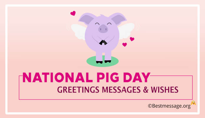 Pig Day Greetings Messages, wishes