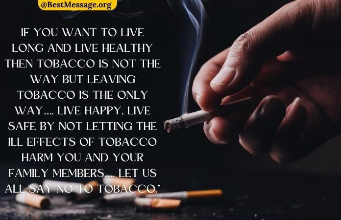 short essay on say no to tobacco