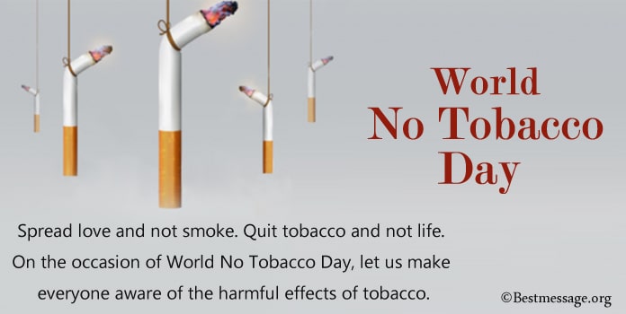 World No Tobacco Day Slogans, Anti Tobacco Slogans, No Smoking Slogans