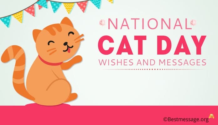 29 October National Cat Day Wishes and Greeting Messages