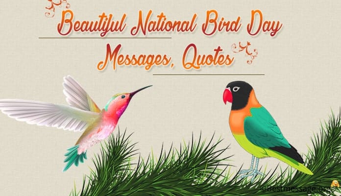 Beautiful National Bird Day Messages, Bird Quotes, Bird Day Greetings