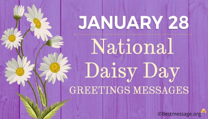 National Daisy Day Greetings Messages