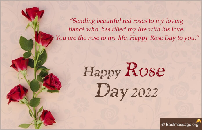 Best Rose Love Quotes with Images