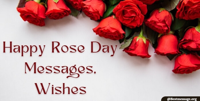 Happy Rose Day Messages 2023 Wishes Images, Photos