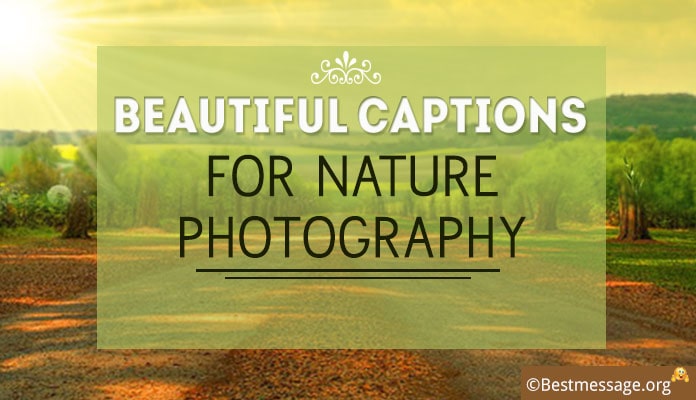 Nature Photography Captions - Instagram Captions Photo