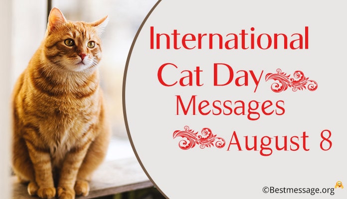 Cat Day Messages Images, Cat Quotes, Cat Slogans