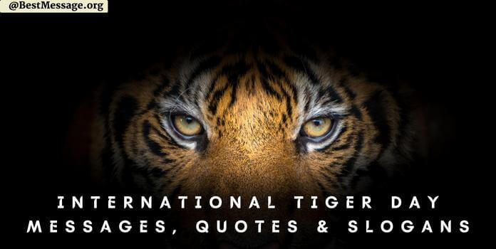 International Tiger Day Messages, Tiger Day Pictures, Wishes, quotes