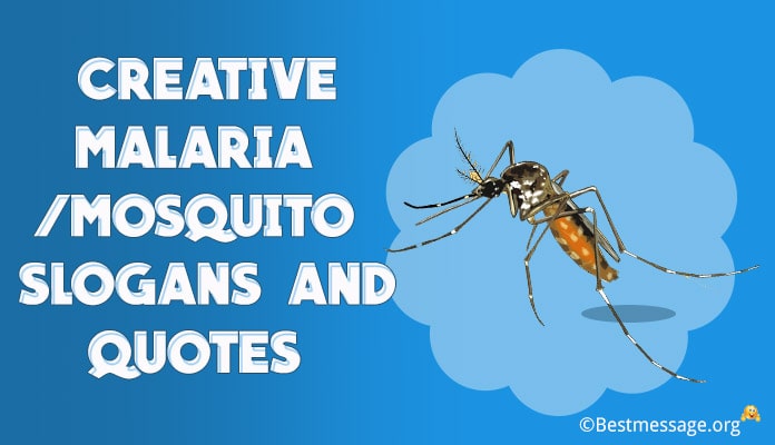 Malaria Slogans, Mosquito Slogans, Malaria Quotes
