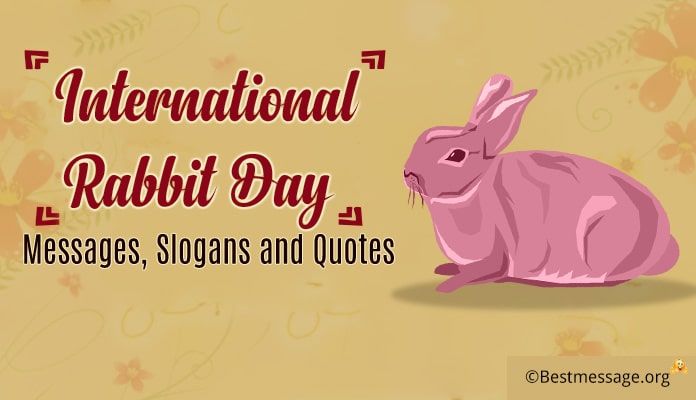 International Rabbit Day Messages, Rabbit Slogans, Quotes