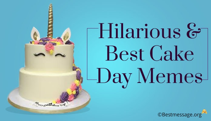 Best Cake Day Memes - Hilarious Cake Memes