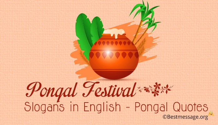 Pongal Festival Slogans - Pongal Quotes