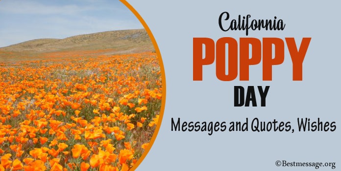 California Poppy Day Messages, California Poppy Quotes, Wishes