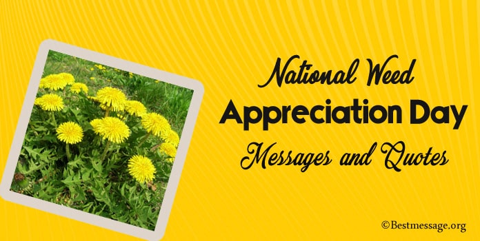 Happy Weed Appreciation Day Messages, Weed Appreciation Quotes