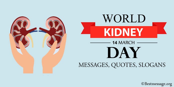 World Kidney Day Messages, Kidney Quotes, Kidney Slogans, Greetings image