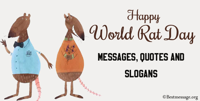 Rat Day Messages, Rat Quotes, Catchy Rat Slogans