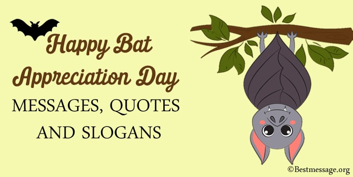 Bat Appreciation Day Messages, Bat Appreciation Quotes, Slogans