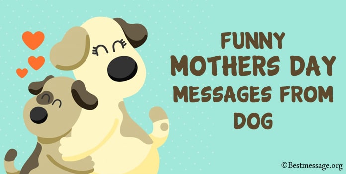 Funny Mothers Day Messages from Dog