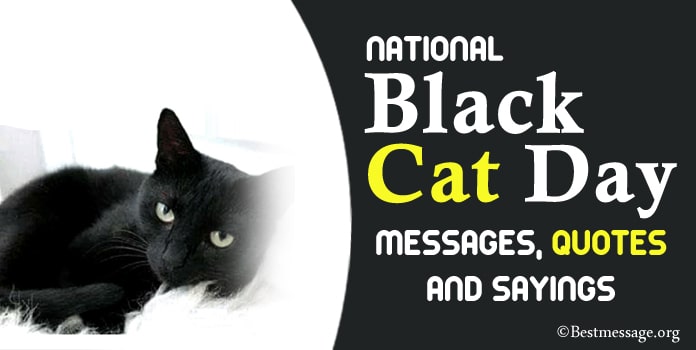 Black Cat Day Messages, Black Cat Quotes Sayings