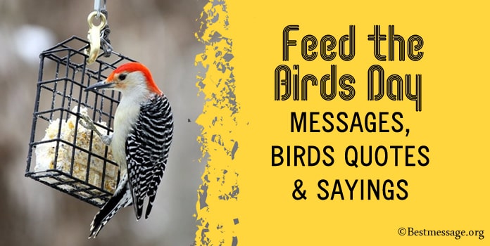 Feed the Birds Day Messages, Birds Quotes Sayings