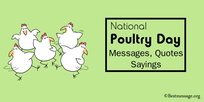 National Poultry Day Messages, Poultry Quotes and Sayings