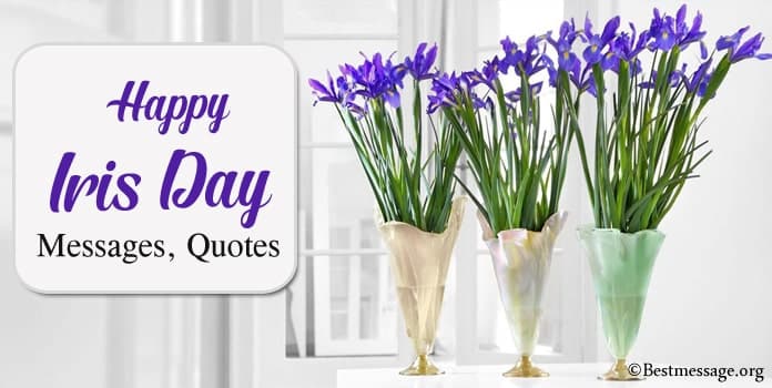 Happy Iris Day Messages, Iris flower Quotes