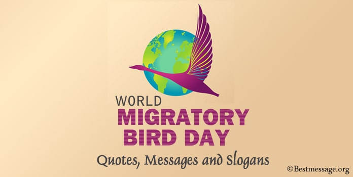 World Migratory Bird Day Quotes, Messages and Birds Slogans