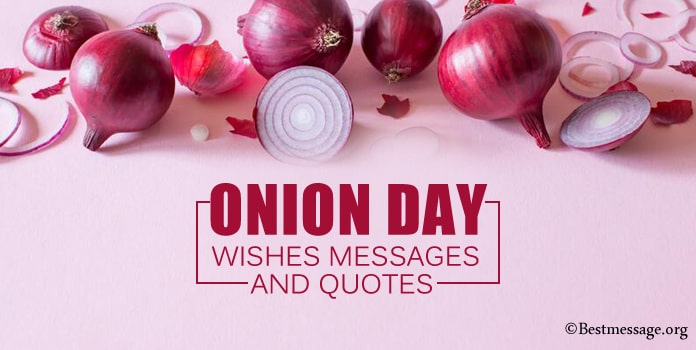 Onion Day Wishes Messages, Onion Quotes Image