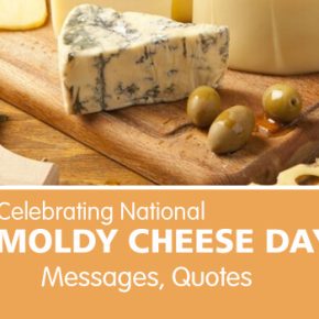 Moldy Cheese Day Messages Images, Quotes