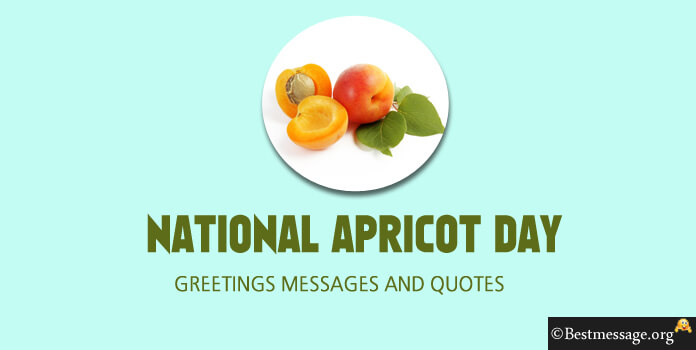 Apricot Day Messages, Greetings quotes