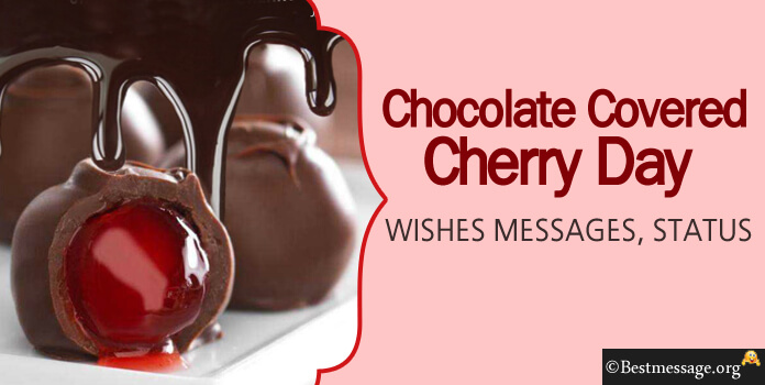 Chocolate Covered Cherry Day Wishes Messages Images