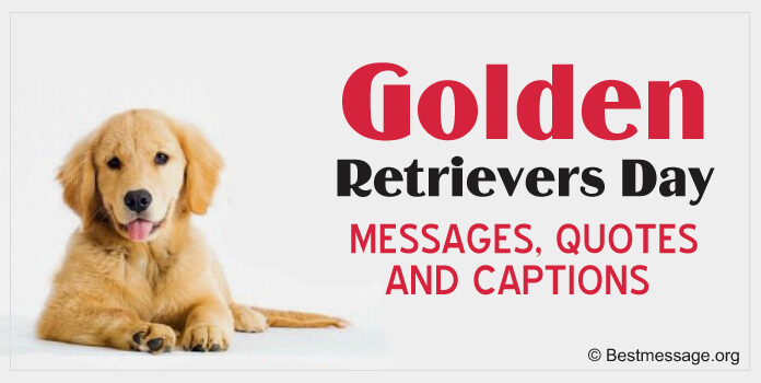 Golden Retrievers Day Messages Quotes Image