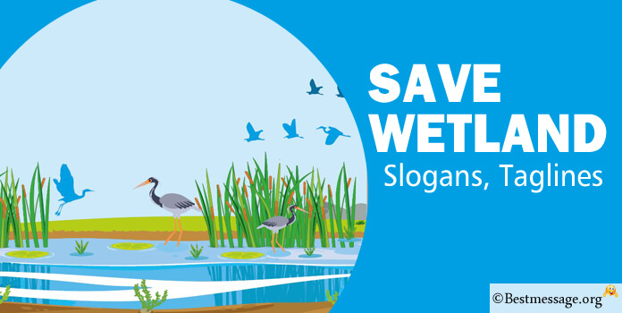 Save Wetland Slogans Taglines
