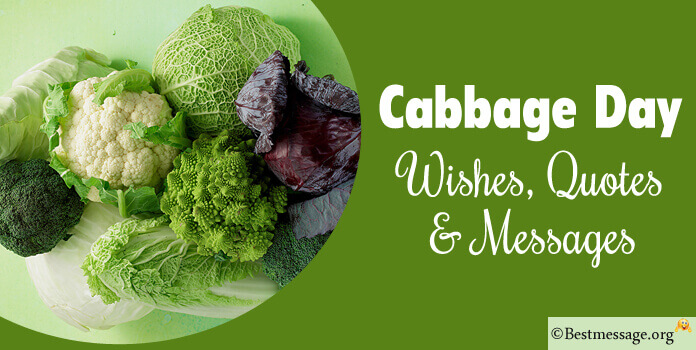 Cabbage Day Messages Quotes, Cabbage Slogans