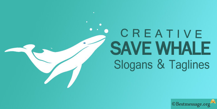 Save Whale Slogans, Whale Taglines