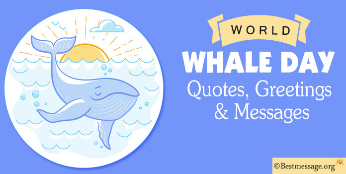 Happy Whale Day Messages, Quotes image