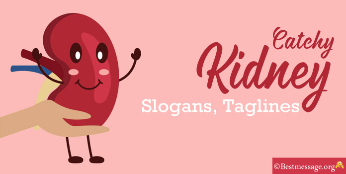 Kidney Slogans, Kidney Taglines