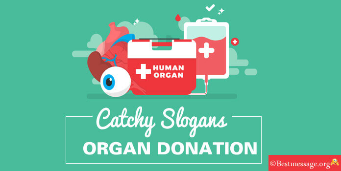 15+ Catchy Slogans on Organ Donation in English