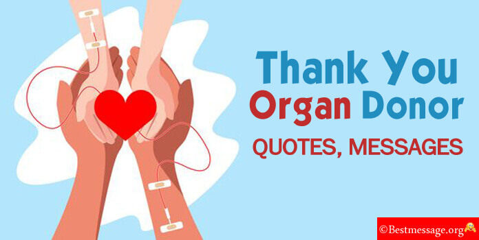 Thank You organ donor Quotes reply message