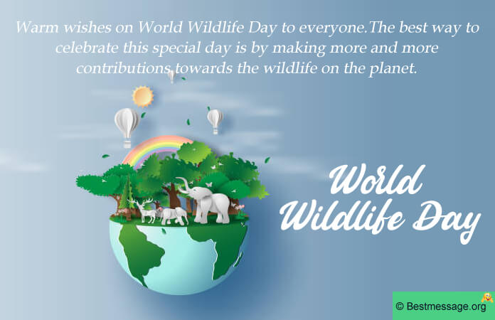World wildlife Day Status Facebook Whatsapp Status Messages