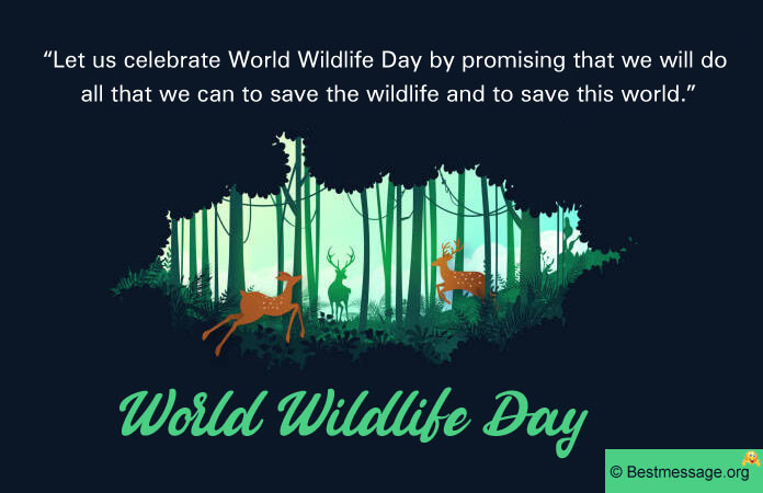 World Wildlife Day Status Quotes