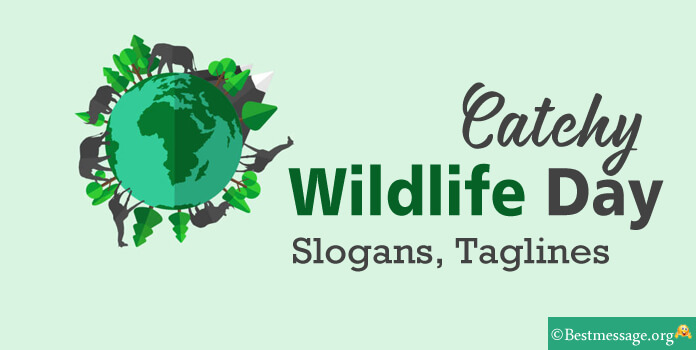 Wildlife Day Slogans