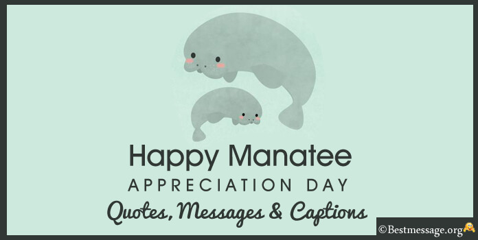 Manatee Appreciation Day Messages Quotes Sayings