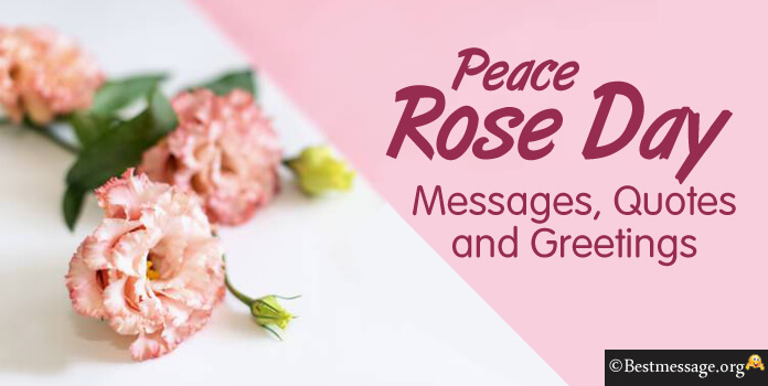 Peace Rose Day Wishes Messages